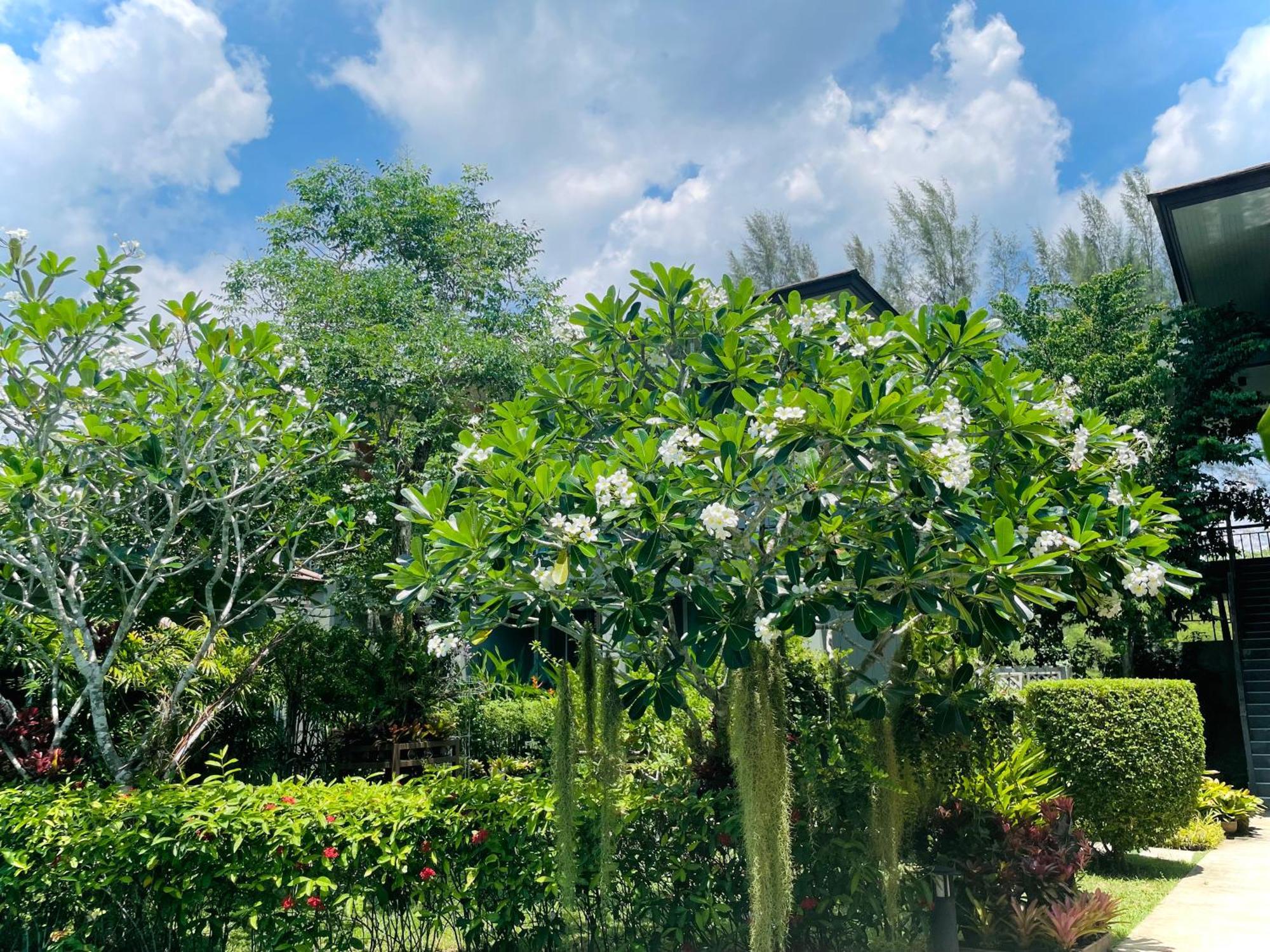 Khaolak Forest Resort Khao Lak Dış mekan fotoğraf